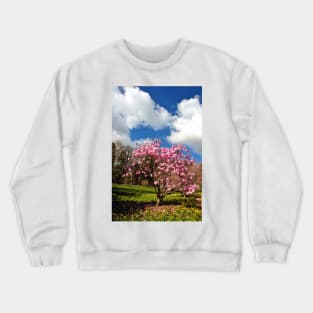 Magnolia Tree Batsford Arboretum Cotswolds UK Crewneck Sweatshirt